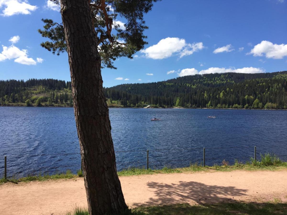 Schwarzwaldglueck Leilighet Schluchsee Eksteriør bilde