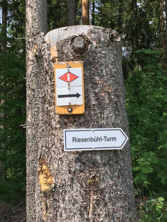 Schwarzwaldglueck Leilighet Schluchsee Eksteriør bilde