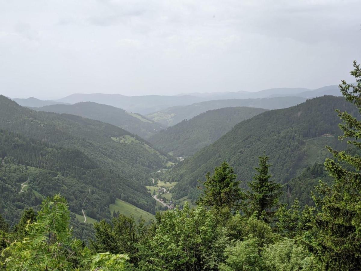 Schwarzwaldglueck Leilighet Schluchsee Eksteriør bilde